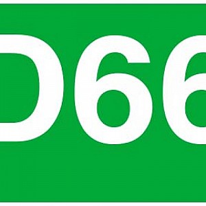 D66